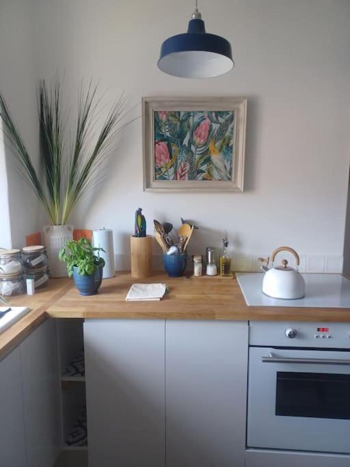 The Fuzzy Duck Apartment บรอธตีเฟอร์รี ภายนอก รูปภาพ