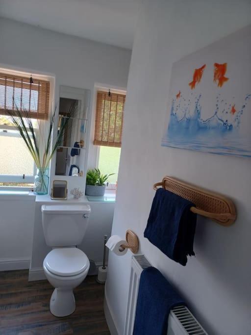 The Fuzzy Duck Apartment บรอธตีเฟอร์รี ภายนอก รูปภาพ